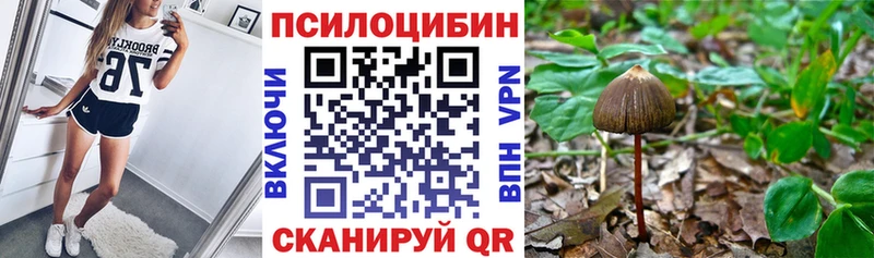 блэк спрут ССЫЛКА  Устюжна  Галлюциногенные грибы GOLDEN TEACHER  купить наркоту 